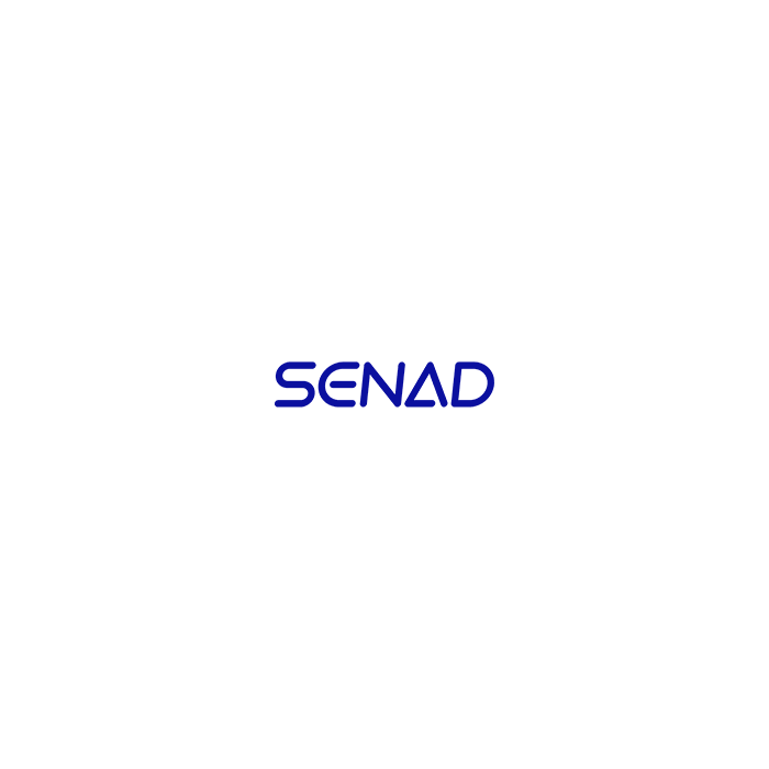 Senad Customized Telescopic Belt Conveyor (Customized Telescopic Belt Conveyor)